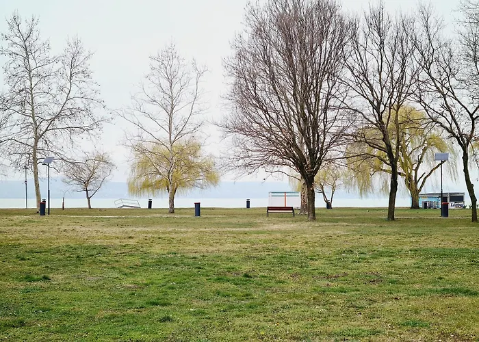 Eszter Koezel A Balatonhoz 5 Fo Reszere *